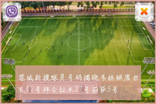 蓉城新援球员号码揭晓韦林顿席尔瓦11号拜合拉木27号茹萨5号