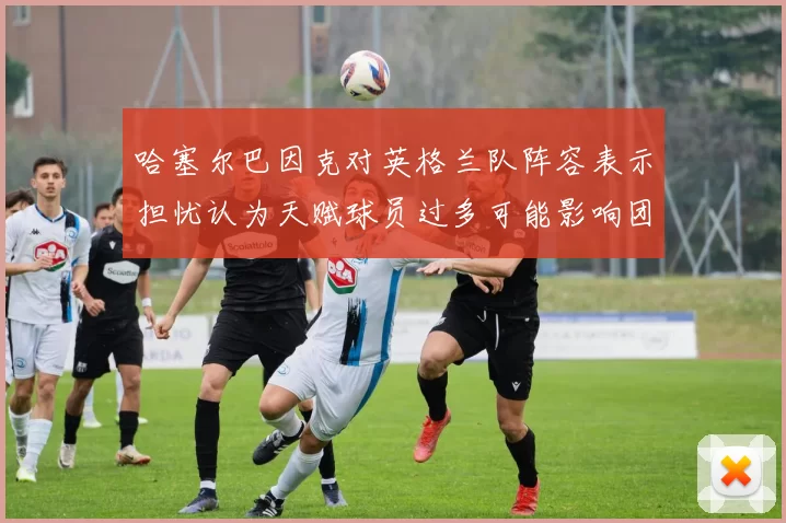 哈塞尔巴因克对英格兰队阵容表示担忧认为天赋球员过多可能影响团队合作